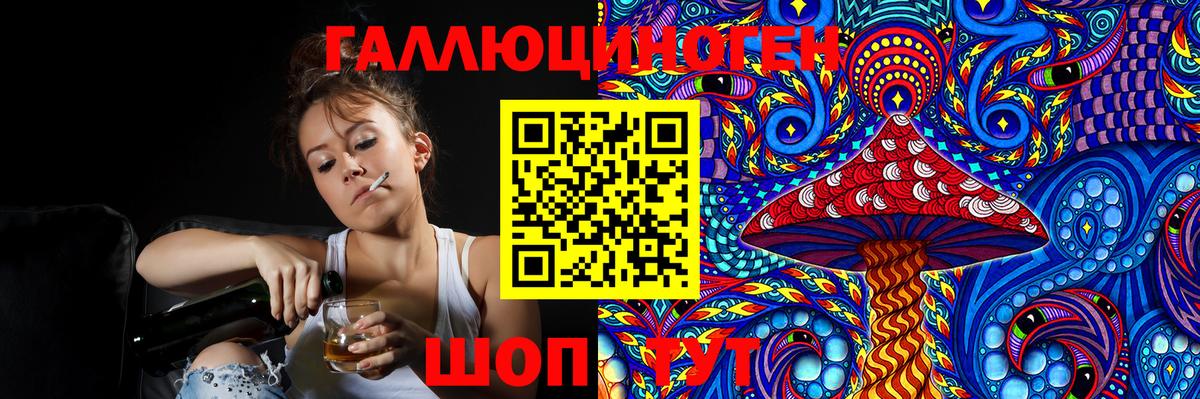 Советская Гавань  Псилоцибиновые грибы Psilocybine cubensis  Вход с VPN 